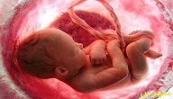 ما هي أسباب عدم اكتمال نمو الجنين