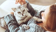 ماهي فوائد و مضار تربية القطط