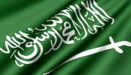 تاريخ المملكة العربية السعودية