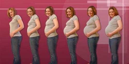 مراحل الحمل بالاسابيع والاشهر