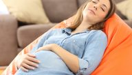 معلومات عن الحمل والولادة
