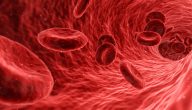 هل حساسية الدم معدية