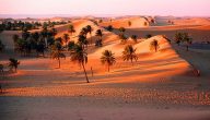 تقاليد صحراء الجزائر