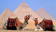 حلول لتنشيط السياحة في مصر
