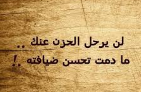 أمثال عربية فصيحة