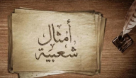 أمثال شعبية بالعربية الفصحى
