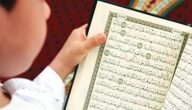 أهمية الأمثال في القرآن الكريم