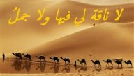 أمثال عربية قديمة وقصتها