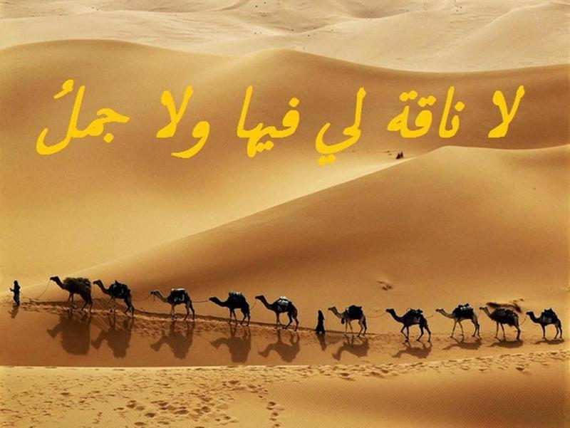 أمثال عربية قديمة وقصتها