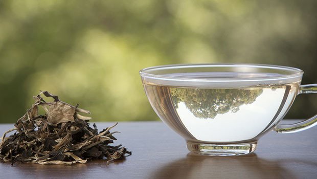 فوائد الشاي الأبيض للدوره الشهرية