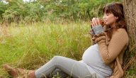 فوائد الزعيترة للحامل