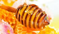 فوائد النحل والعسل