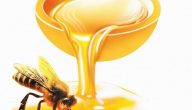 هل العسل فضلات النحل