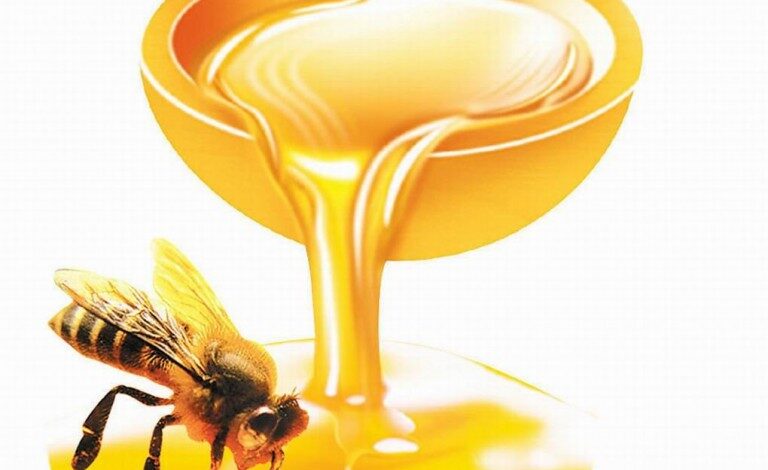 هل العسل فضلات النحل