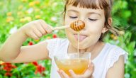 فوائد عسل السدر للأطفال