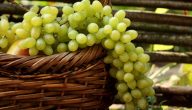 فوائد العنب الأخضر للحامل
