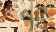 الطعام عند القدماء المصريين