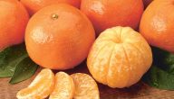 فوائد البرتقال واليوسفي