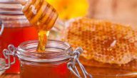 أفضل أنواع العسل للقولون