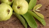 علاج تساقط ثمار الجوافة