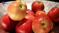 فوائد التفاح بعد الأكل