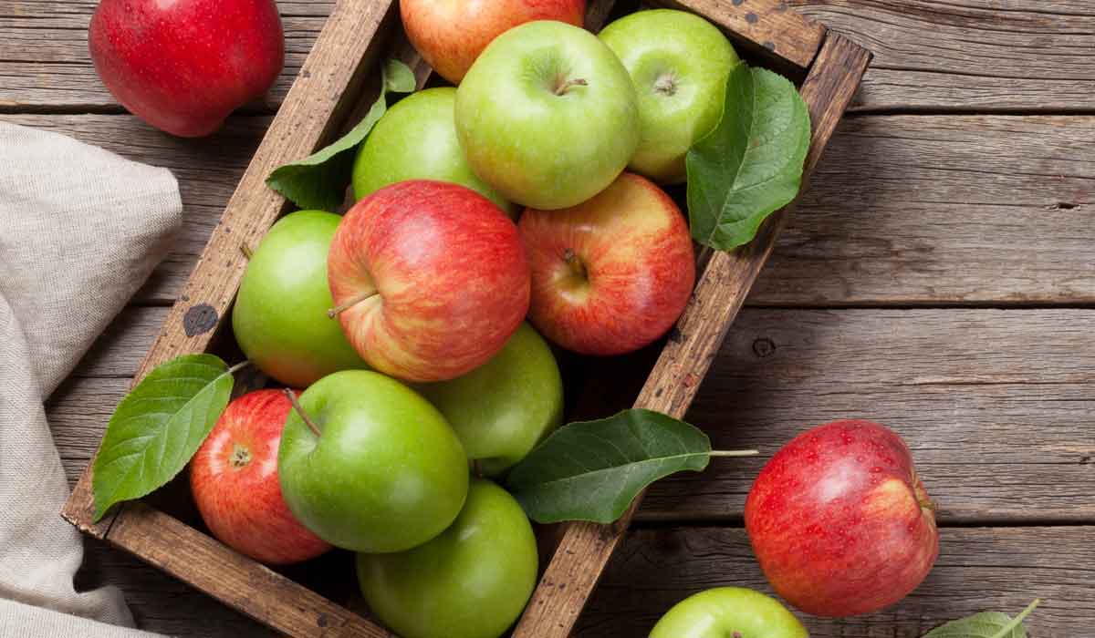 فوائد التفاح للمعده والقولون