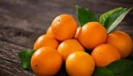 فوائد البرتقال للمعده