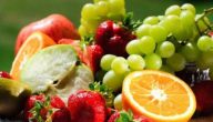 بحث عن إنتاج الفاكهة