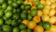 الفرق بين الليمون الأخضر والاصفر