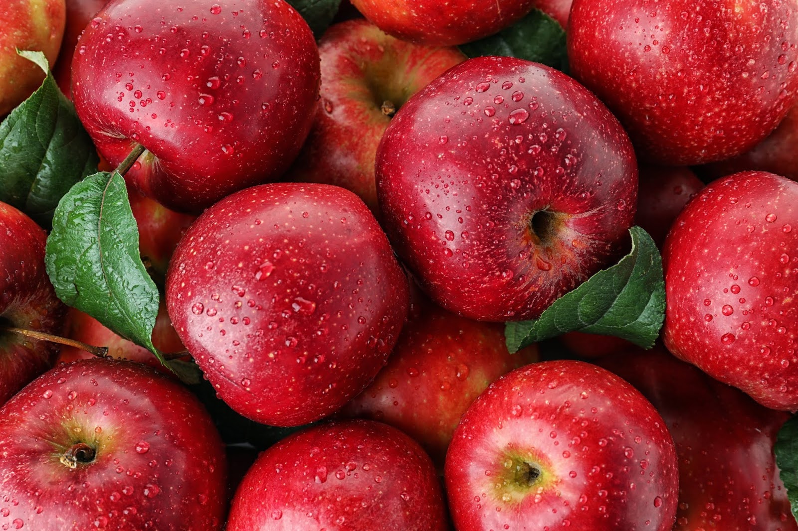 نسبة الحديد في التفاح الأحمر