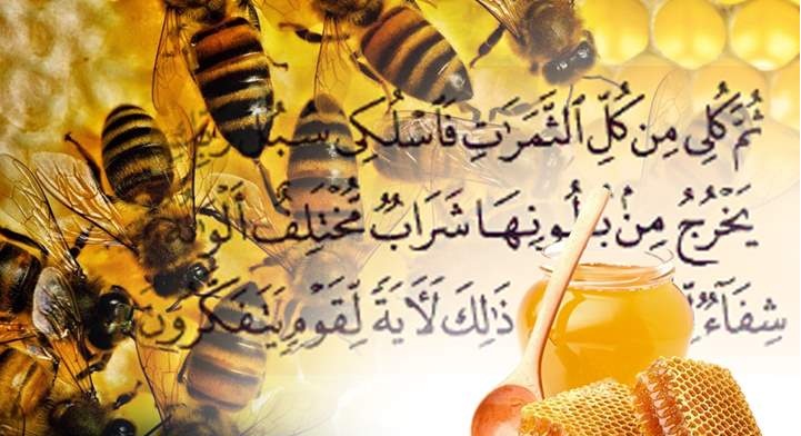 حديث الرسول عن العسل