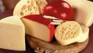فوائد الجبنة الفلمنك للحامل