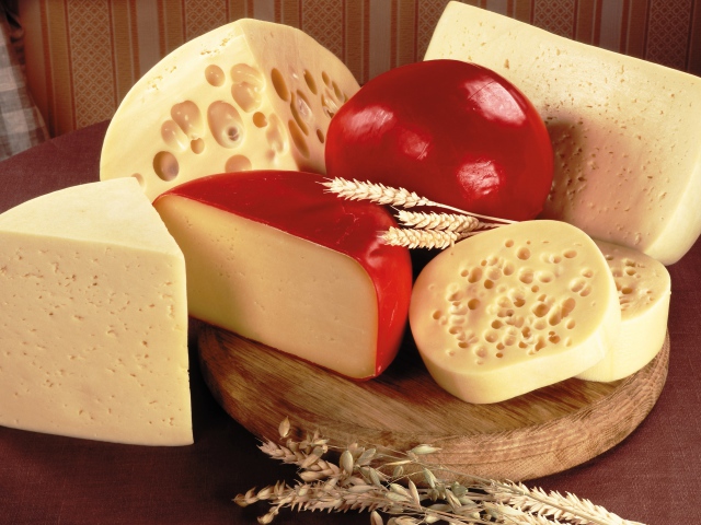 فوائد الجبنة الفلمنك للحامل