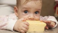فوائد الجبن للأطفال