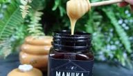 طريقة استخدام عسل مانوكا لجرثومة المعدة