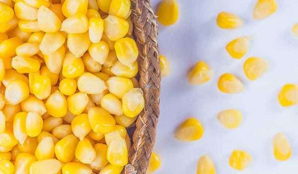 فوائد الذرة الصفراء لمرضى السكر