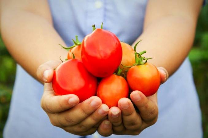 فوائد الطماطم للبشرة والشعر