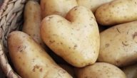 فوائد البطاطس للوجه الدهني