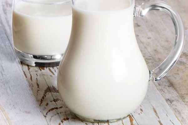 فوائد الحليب للحامل في الأشهر الأخيرة