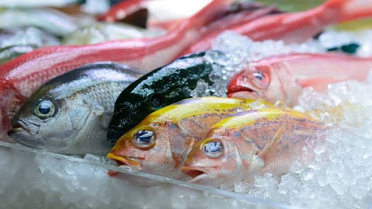مدة حفظ السمك الطازج في الفريزر