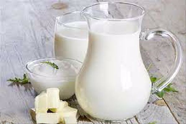 هل الحليب البارد يزيد الوزن