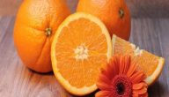 نسبة فيتامين سي في البرتقال