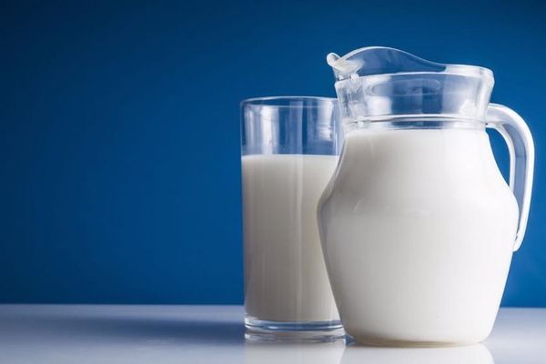 نسب مكونات الحليب