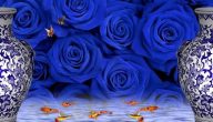 معنى الورد الأزرق