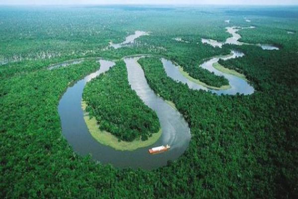 معلومات عن غابات الأمازون