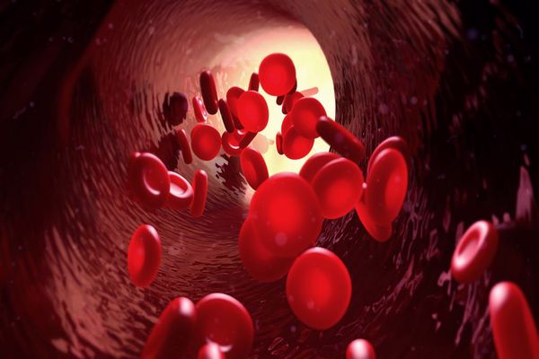 الوقاية من ارتفاع كريات الدم الحمراء