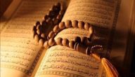 أهمية الاجتهاد في الإسلام