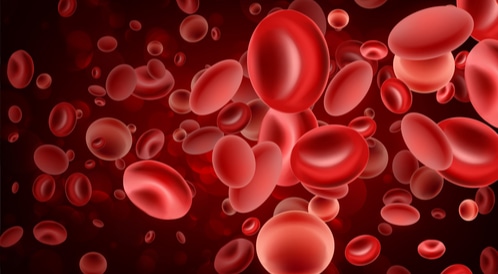 ما معنى خلايا الدم