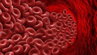 تعريف خلايا الدم الحمراء