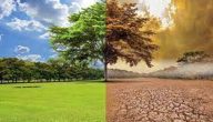 تأثير التغيرات المناخية على الزراعة